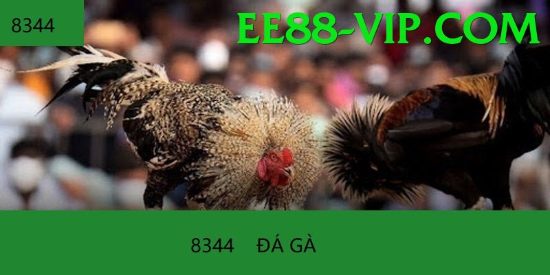 Cách Đọc Kèo Đá Gà - Thông báo